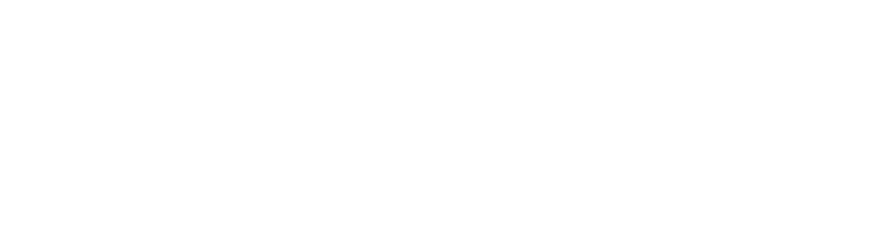 savvy logo